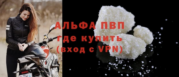 твердый Новозыбков