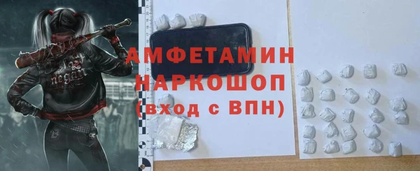 твердый Новозыбков
