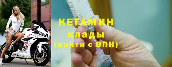 твердый Новозыбков