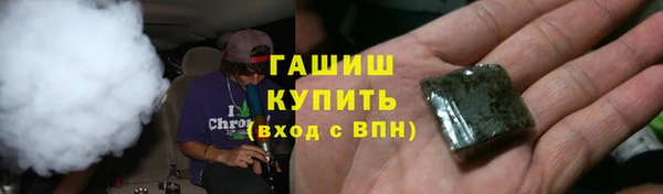 твердый Новозыбков