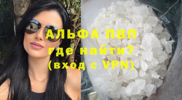 твердый Новозыбков