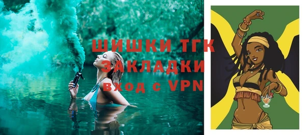 твердый Новозыбков