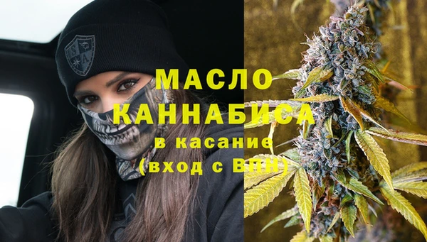 твердый Новозыбков