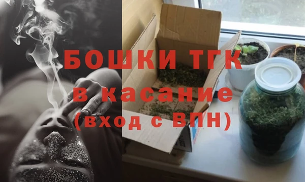 твердый Новозыбков